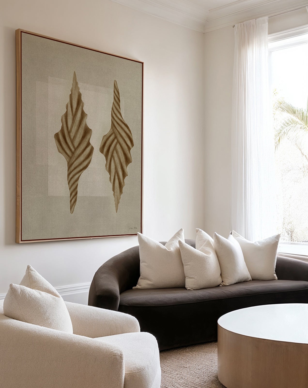 Brown Shells 02 by Julita Elbe | Framed Canvas Art Print