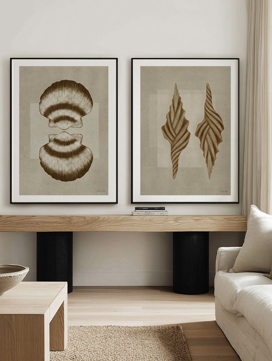 Brown Shells 01 & 02 by Julita Elbe Art Print Set of 2 | Matching Wall Art