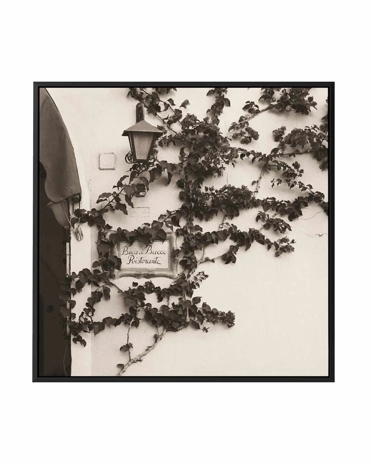 Buca di Bacco, Ristorante by Alan Blaustein | Framed Canvas Art Print from Olive et Oriel where you can shop wallpaper and artworks online