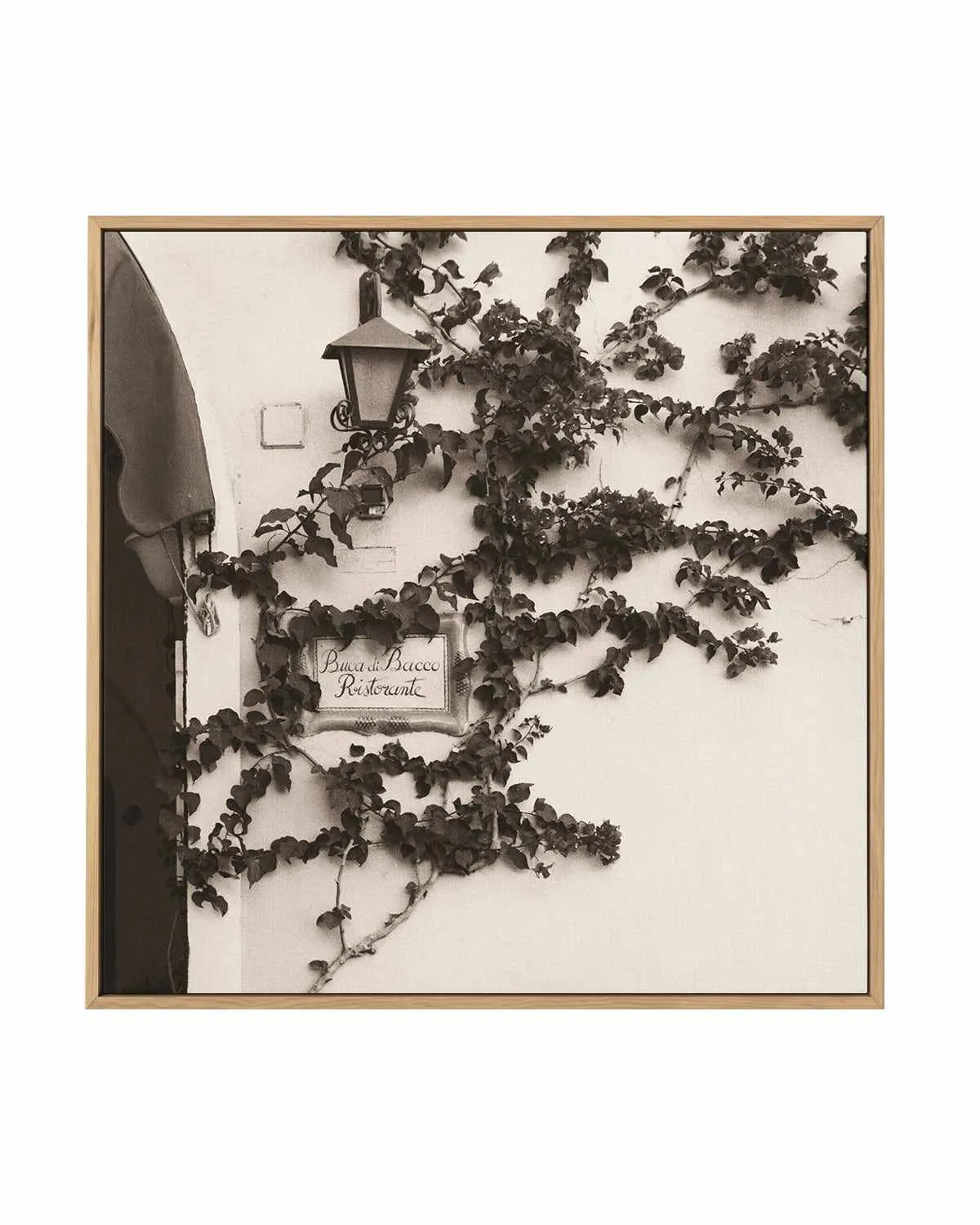 Buca di Bacco, Ristorante by Alan Blaustein | Framed Canvas Art Print from Olive et Oriel where you can shop wallpaper and artworks online