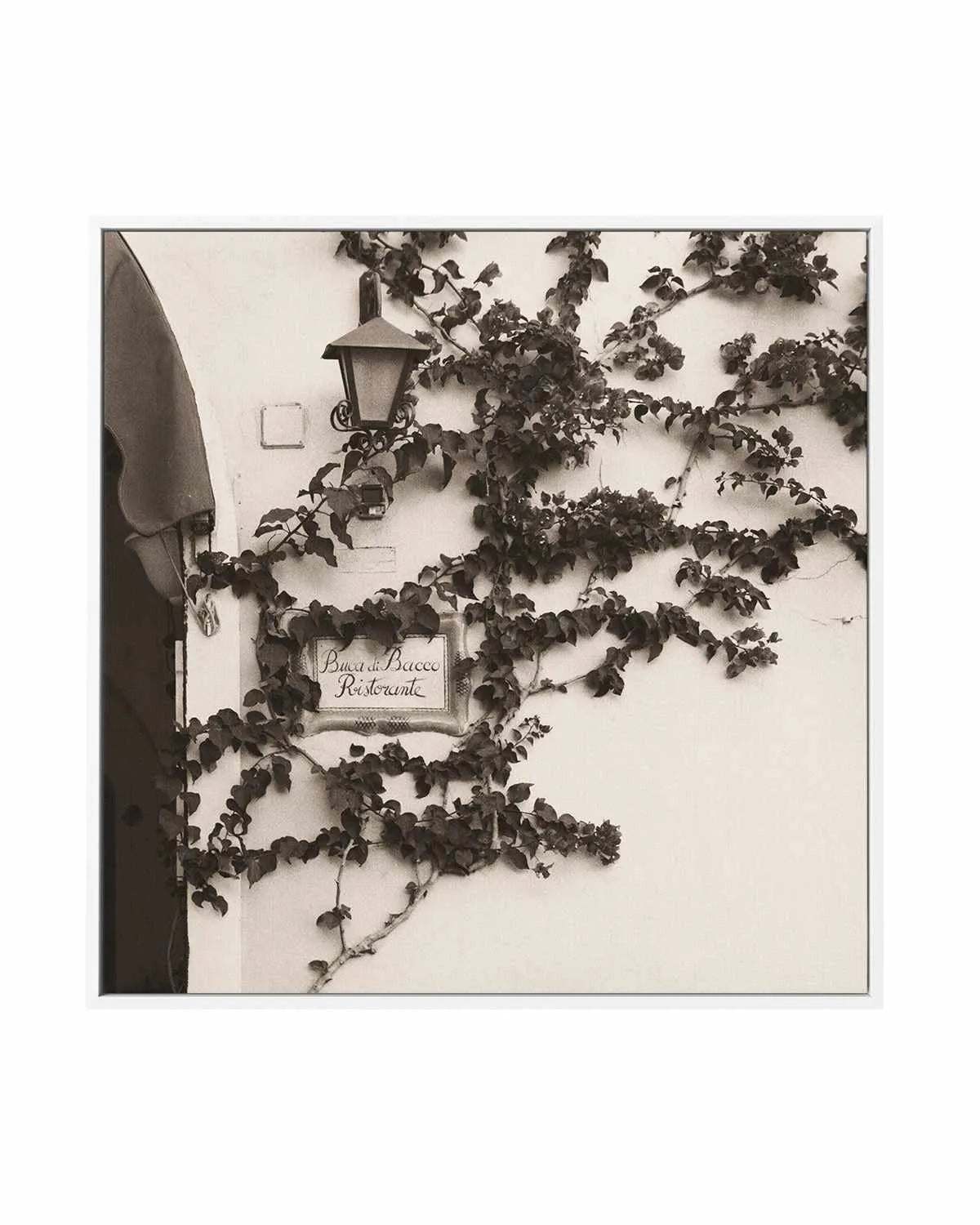 Buca di Bacco, Ristorante by Alan Blaustein | Framed Canvas Art Print from Olive et Oriel where you can shop wallpaper and artworks online