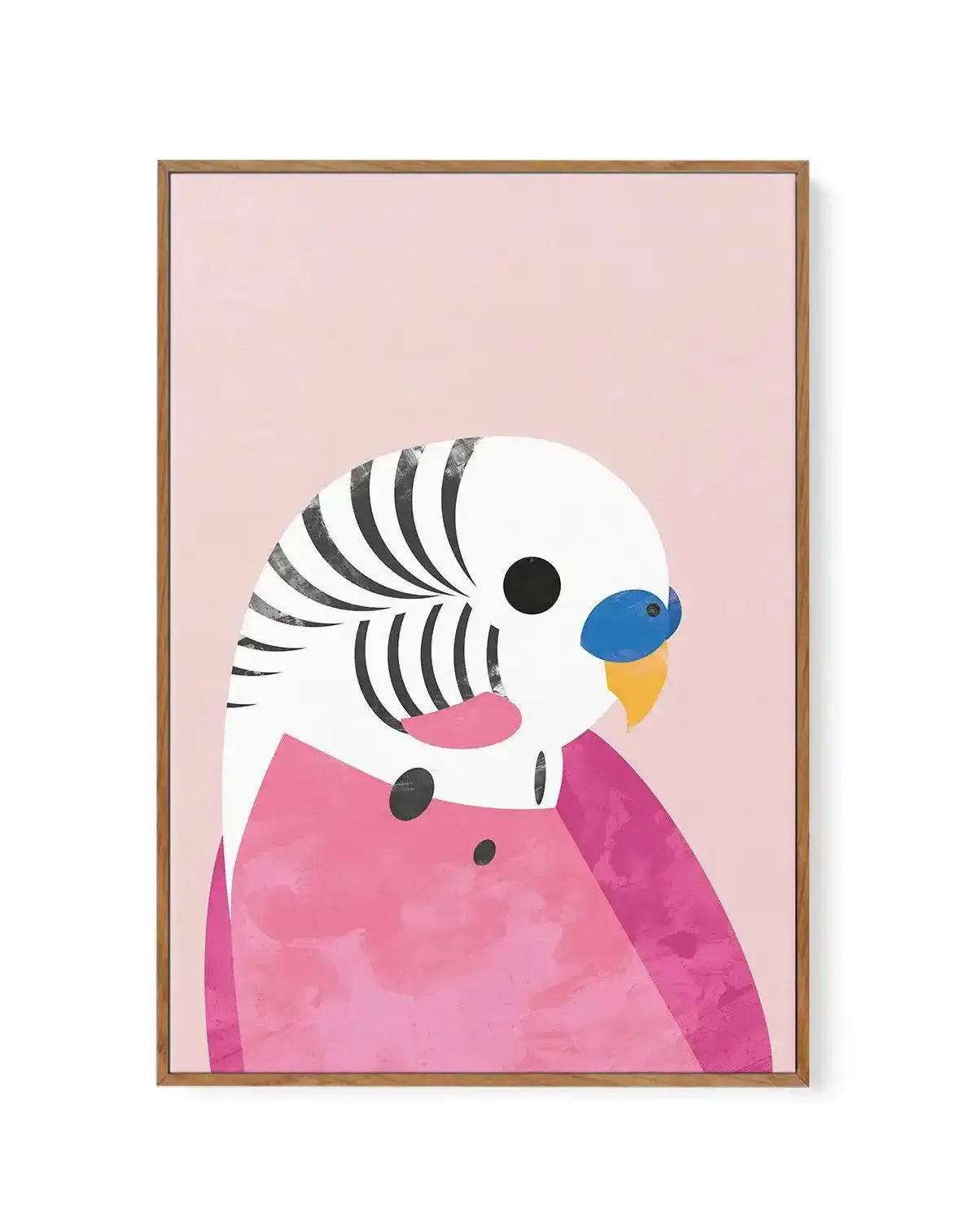 Budgie by Dan Hobday | Framed Canvas-CANVAS-You can shop wall art online with Olive et Oriel for everything from abstract art to fun kids wall art. Our beautiful modern art prints and canvas art are available from large canvas prints to wall art paintings and our proudly Australian artwork collection offers only the highest quality framed large wall art and canvas art Australia - You can buy fashion photography prints or Hampton print posters and paintings on canvas from Olive et Oriel and have 