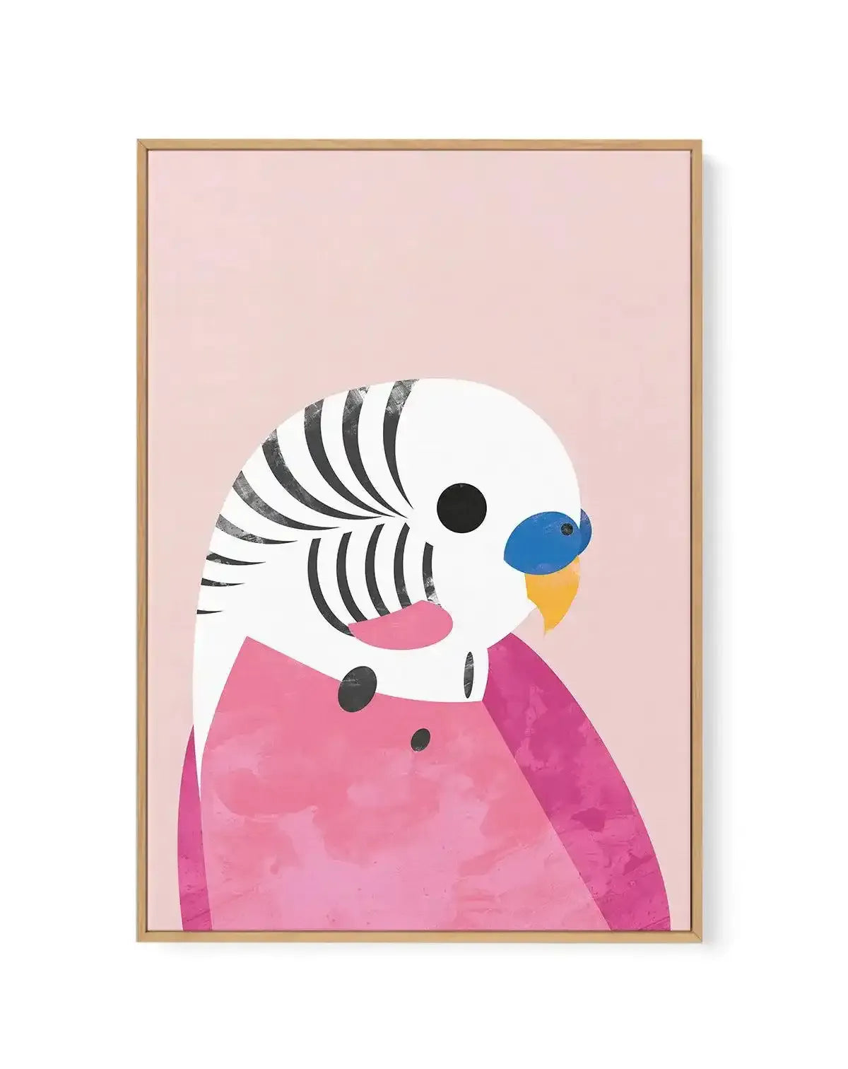 Budgie by Dan Hobday | Framed Canvas-CANVAS-You can shop wall art online with Olive et Oriel for everything from abstract art to fun kids wall art. Our beautiful modern art prints and canvas art are available from large canvas prints to wall art paintings and our proudly Australian artwork collection offers only the highest quality framed large wall art and canvas art Australia - You can buy fashion photography prints or Hampton print posters and paintings on canvas from Olive et Oriel and have 