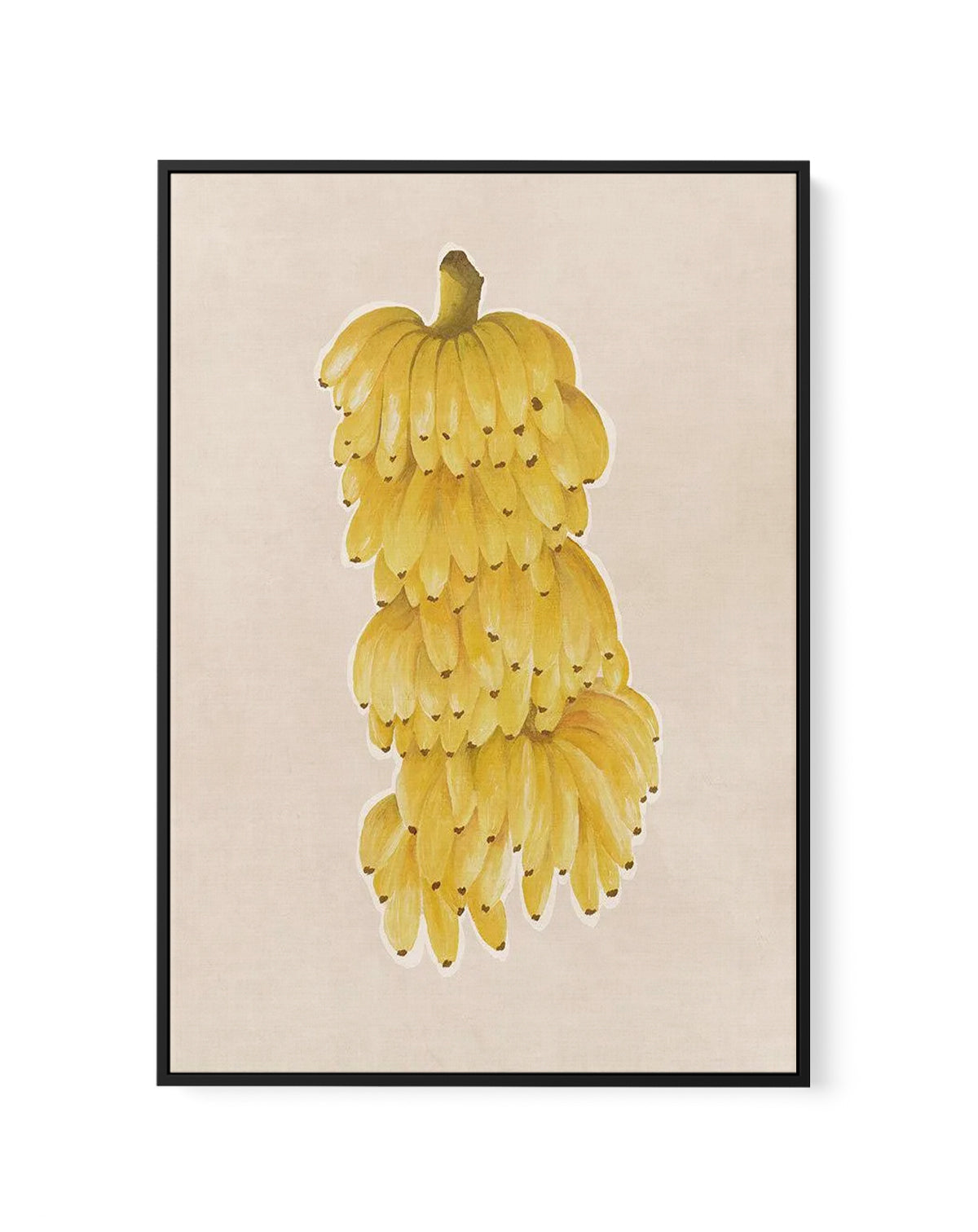Bunch of Bananas | Framed Canvas Art Print from Olive et Oriel where you can shop wallpaper and artworks online