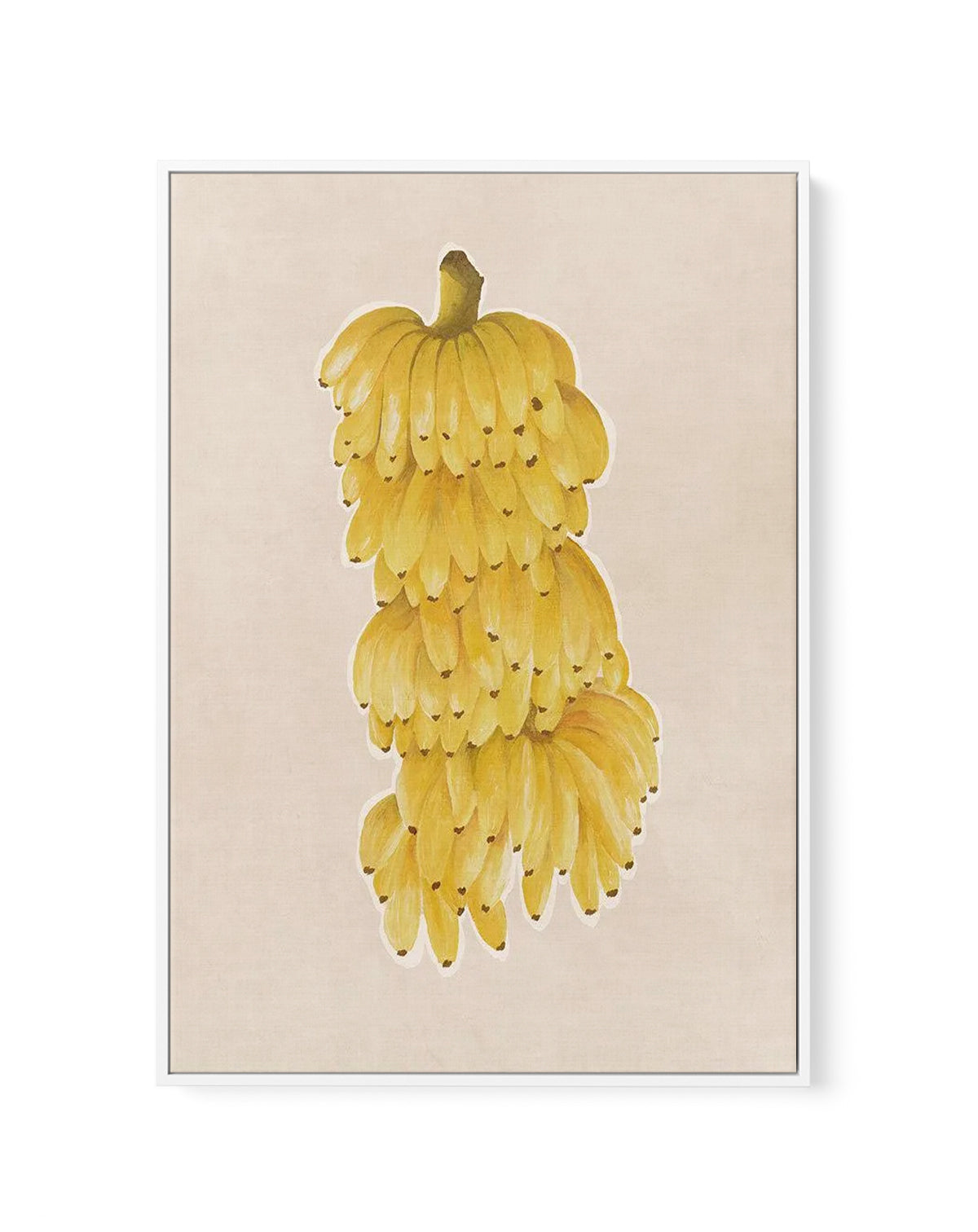 Bunch of Bananas | Framed Canvas Art Print from Olive et Oriel where you can shop wallpaper and artworks online