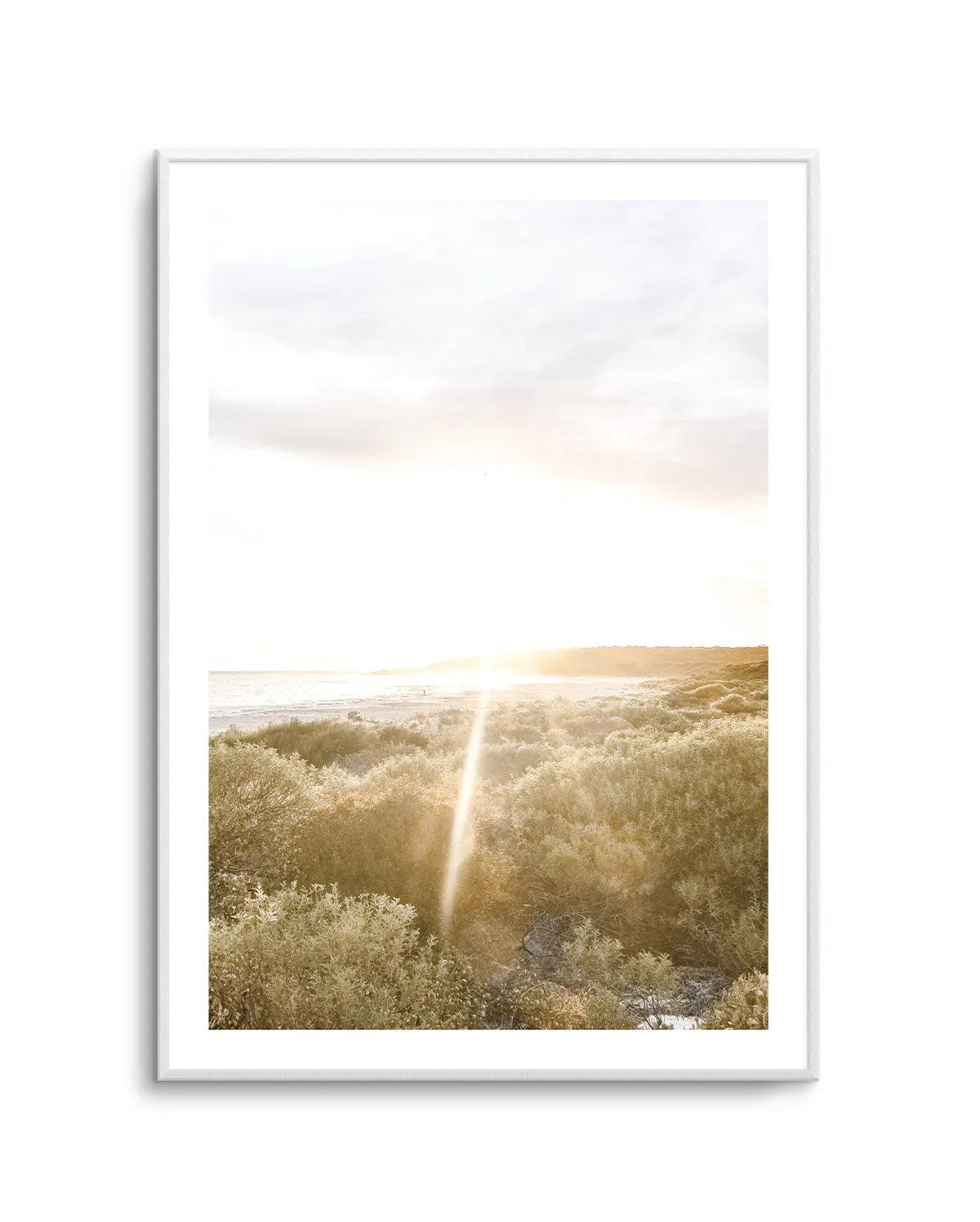 Bunker Bay, Sunset Art Print | PT-PRINT-Olive et Oriel-Olive et Oriel-A5 | 5.8" x 8.3" | 14.8 x 21cm-Unframed Art Print-With White Border-Buy-Australian-Art-Prints-Online-with-Olive-et-Oriel-Your-Artwork-Specialists-Austrailia-Decorate-With-Coastal-Photo-Wall-Art-Prints-From-Our-Beach-House-Artwork-Collection-Fine-Poster-and-Framed-Artwork