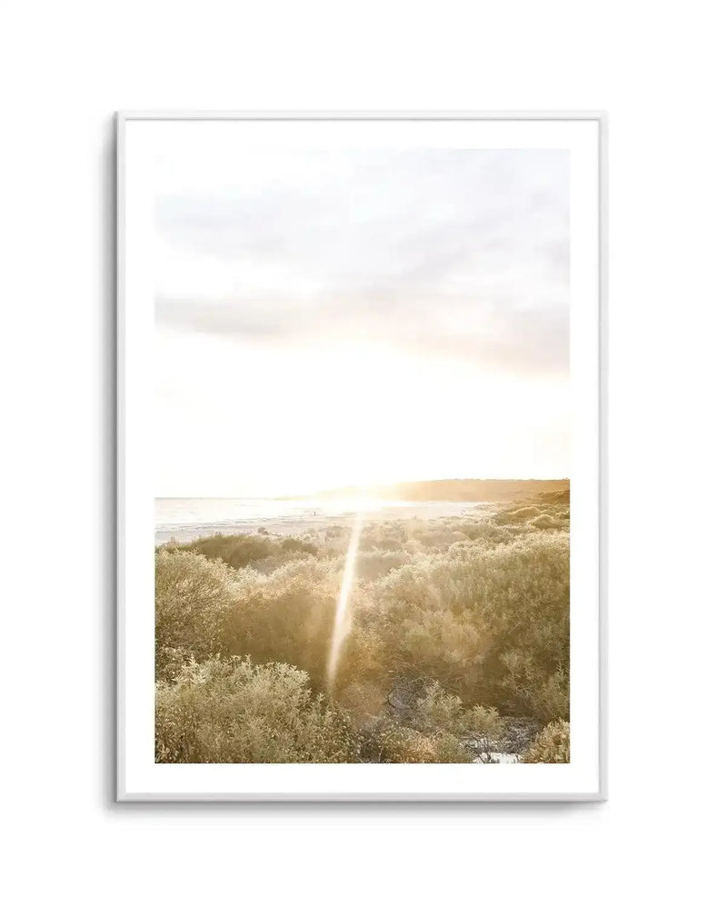 Bunker Bay, Sunset Art Print | PT-PRINT-Olive et Oriel-Olive et Oriel-A5 | 5.8" x 8.3" | 14.8 x 21cm-Unframed Art Print-With White Border-Buy-Australian-Art-Prints-Online-with-Olive-et-Oriel-Your-Artwork-Specialists-Austrailia-Decorate-With-Coastal-Photo-Wall-Art-Prints-From-Our-Beach-House-Artwork-Collection-Fine-Poster-and-Framed-Artwork
