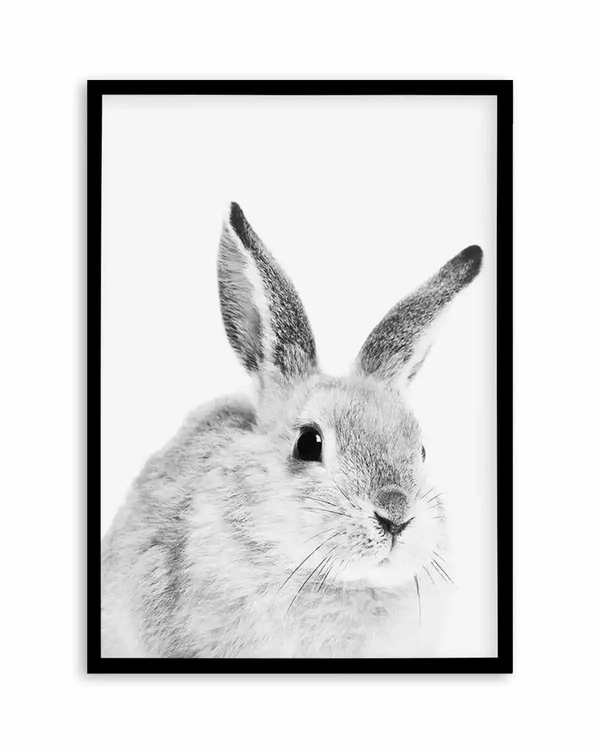 Bunny | B&W Art Print from Olive et Oriel where you can shop wallpaper and artworks online