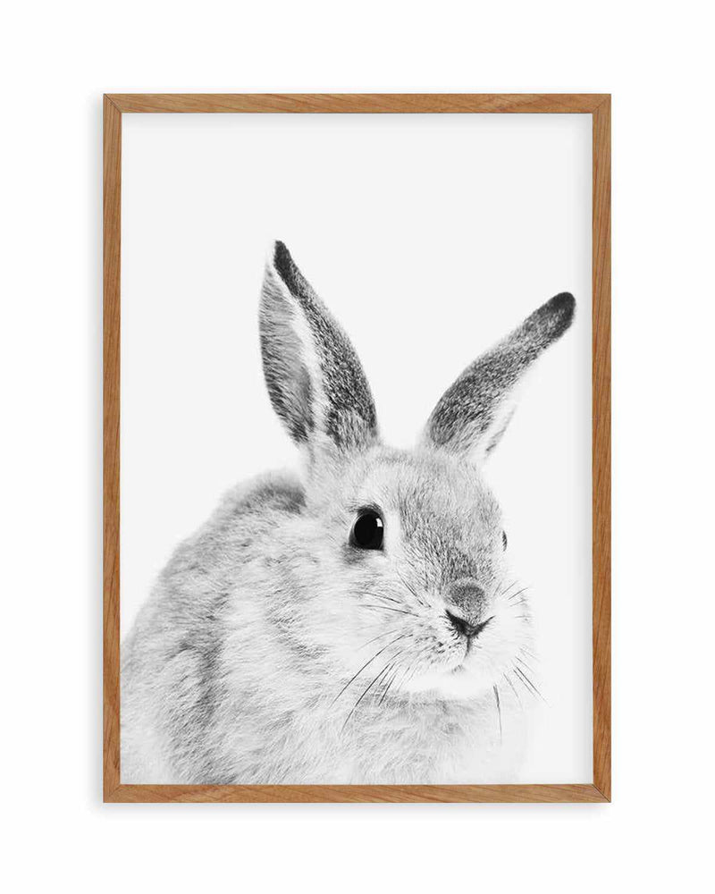 Bunny | B&W Art Print