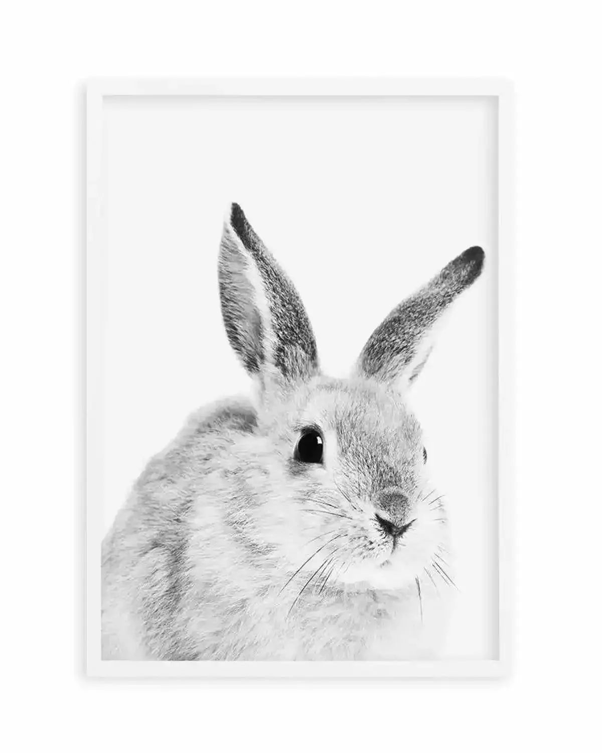 Bunny | B&W Art Print from Olive et Oriel where you can shop wallpaper and artworks online