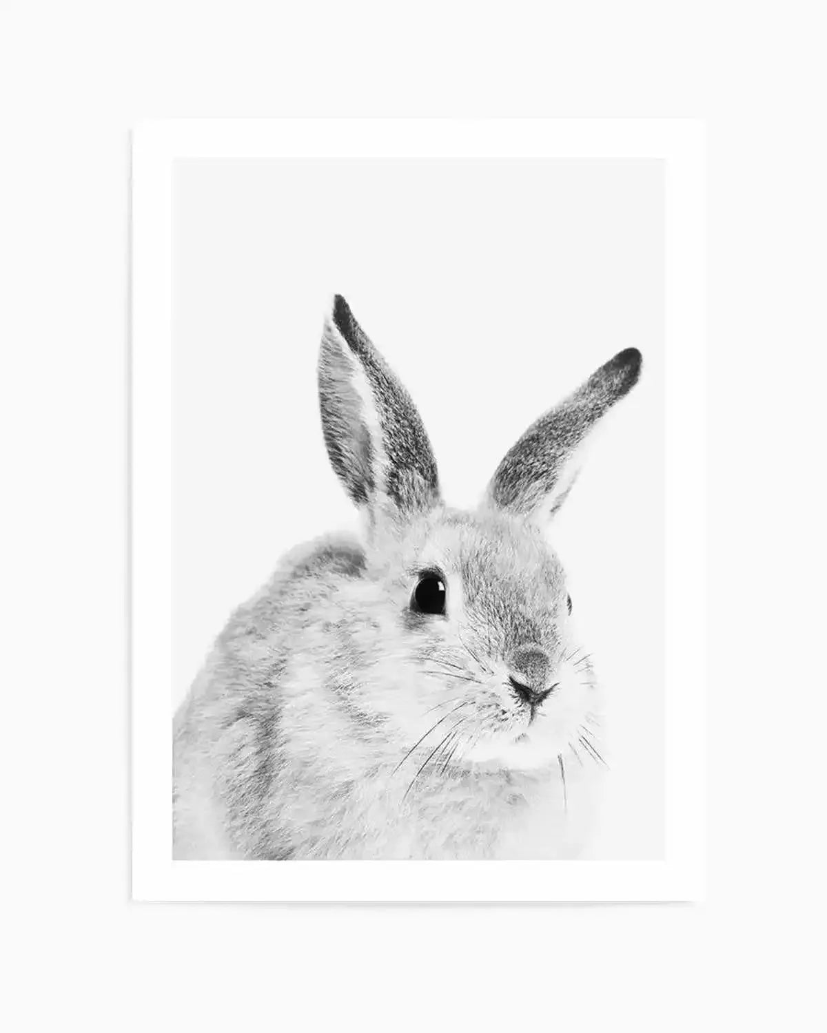 Bunny | B&W Art Print from Olive et Oriel where you can shop wallpaper and artworks online
