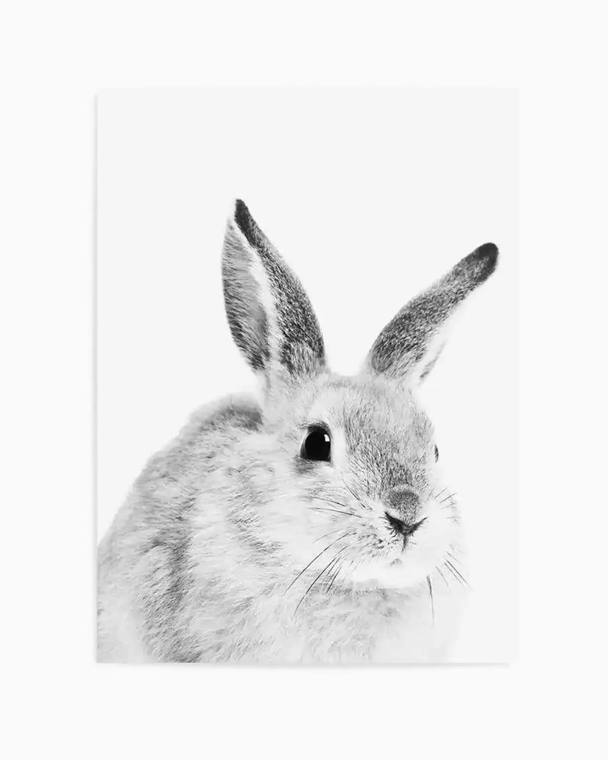 Bunny | B&W Art Print from Olive et Oriel where you can shop wallpaper and artworks online
