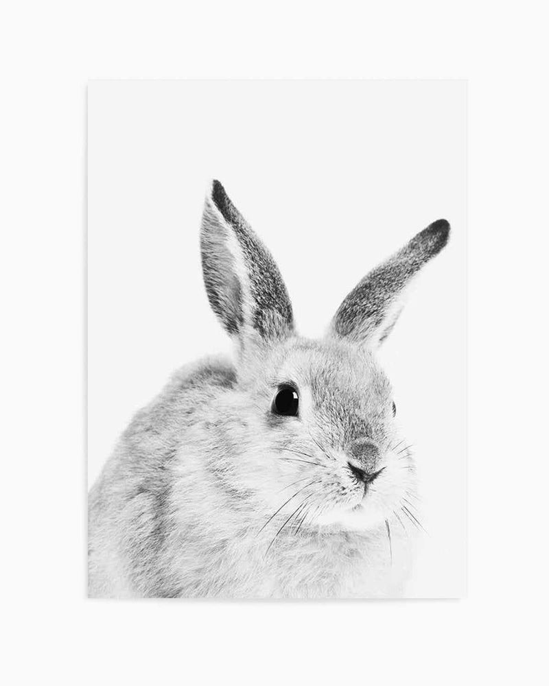 Bunny | B&W Art Print