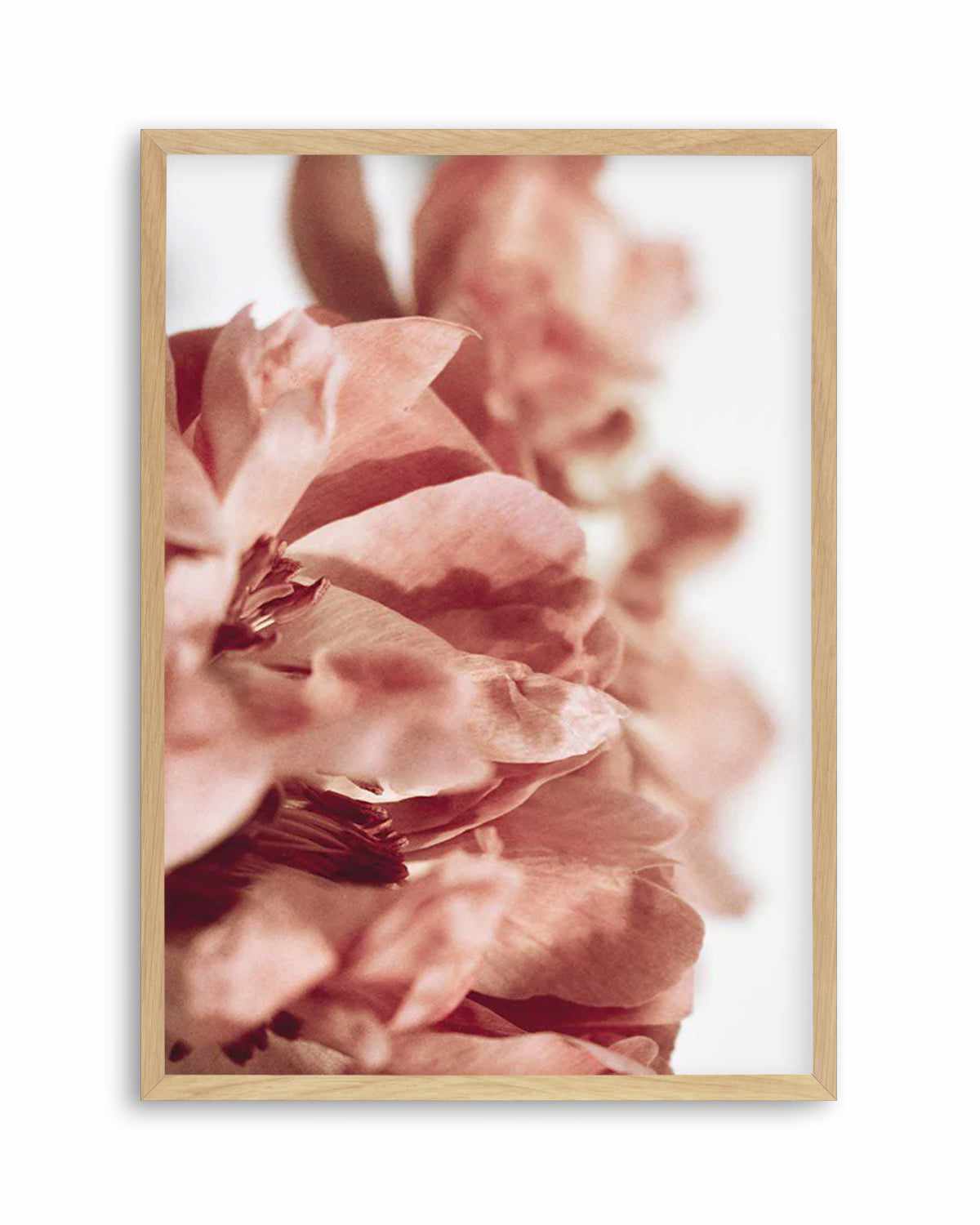 Burnt Peony I Art Print