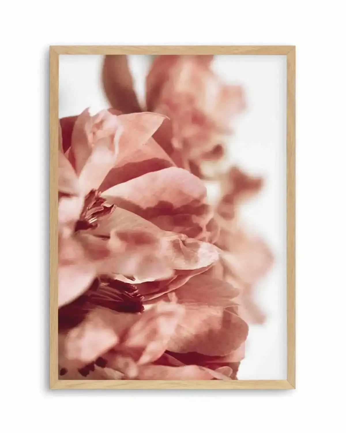 Burnt Peony I Art Print from Olive et Oriel where you can shop wallpaper and artworks online