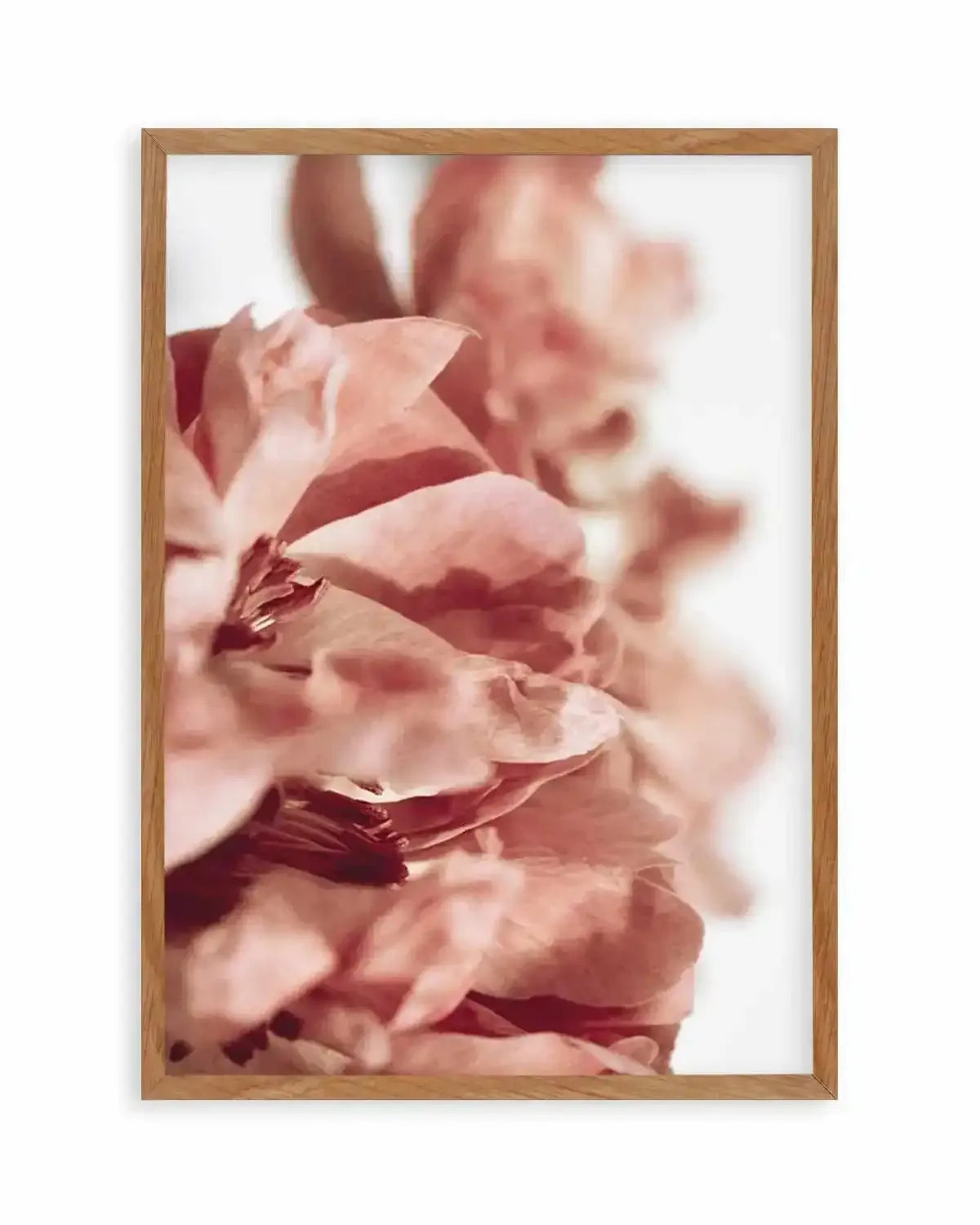 Burnt Peony I Art Print from Olive et Oriel where you can shop wallpaper and artworks online