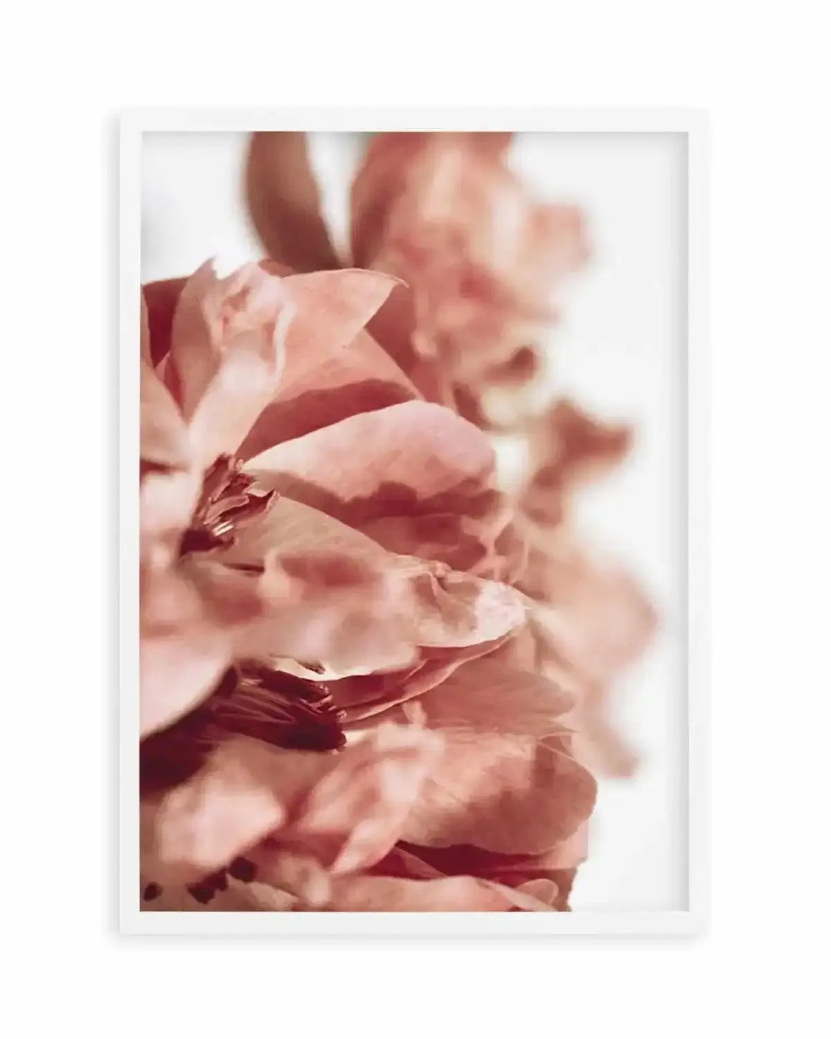 Burnt Peony I Art Print from Olive et Oriel where you can shop wallpaper and artworks online