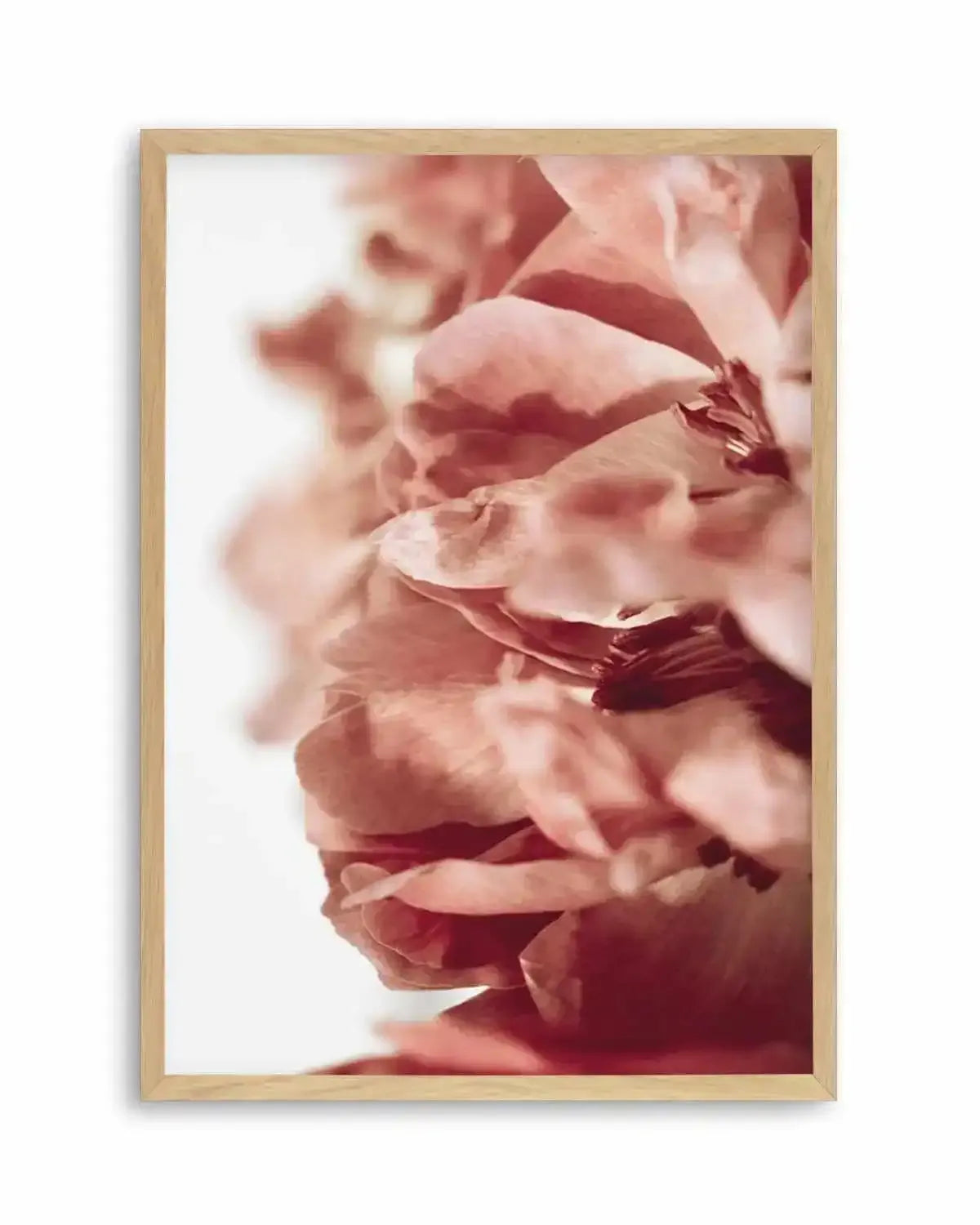 Burnt Peony II Art Print from Olive et Oriel where you can shop wallpaper and artworks online
