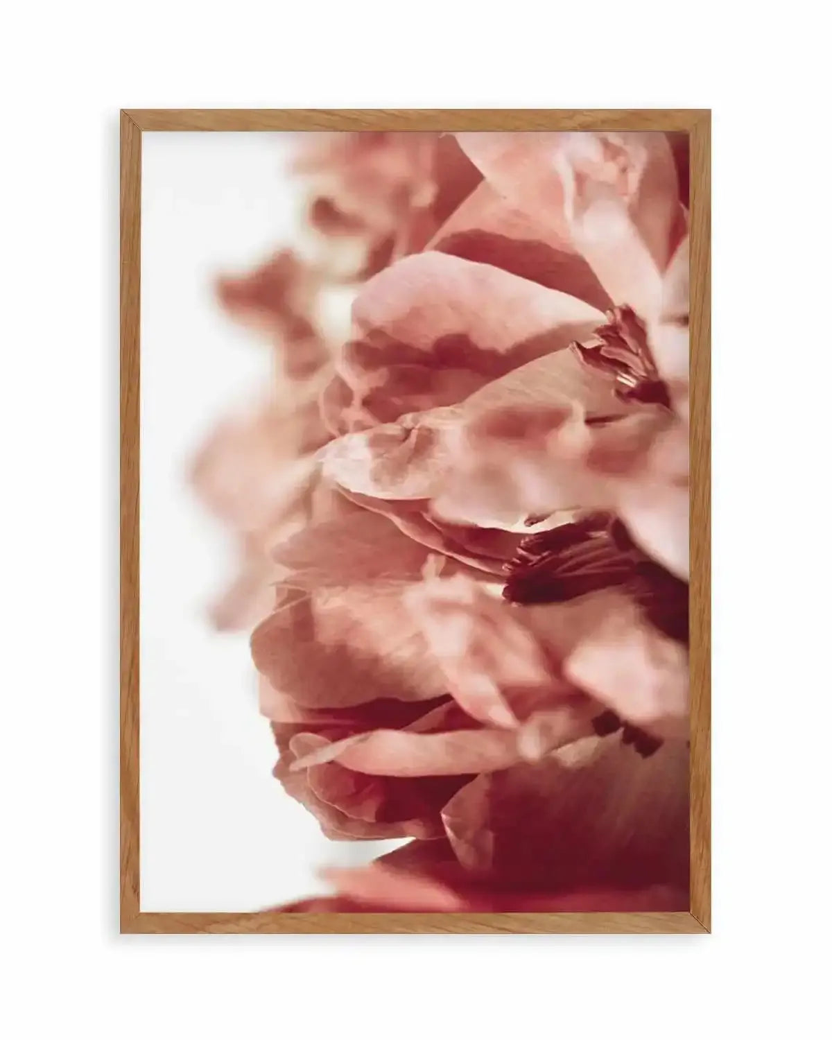 Burnt Peony II Art Print from Olive et Oriel where you can shop wallpaper and artworks online