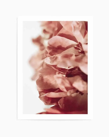 Close-up photography art print of a peony flower with soft, blurred petals in shades of burnt orange, deep rose, and blush pink, with a bright white background on the left side. The composition focuses on the layered texture and warm tones of the petals.