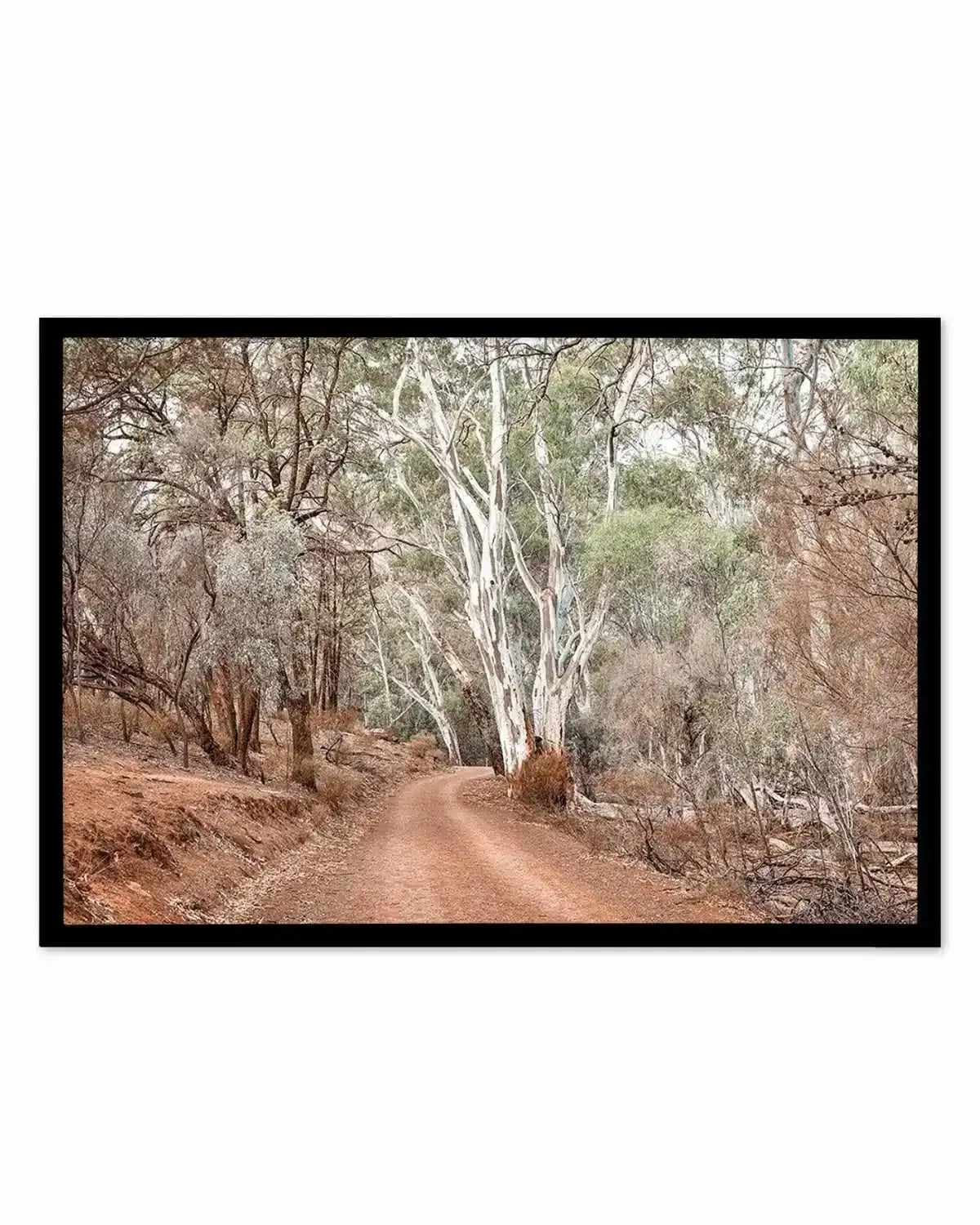 Bush Tracks Art Print from Olive et Oriel where you can shop wallpaper and artworks online