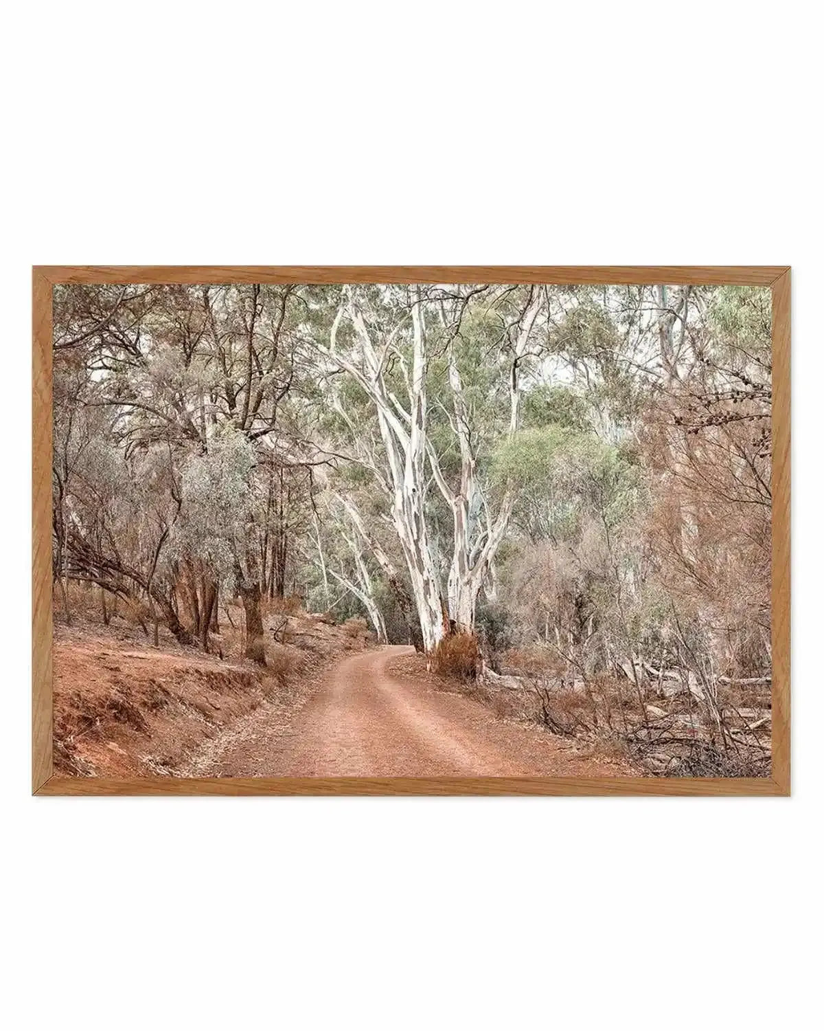 Bush Tracks Art Print from Olive et Oriel where you can shop wallpaper and artworks online