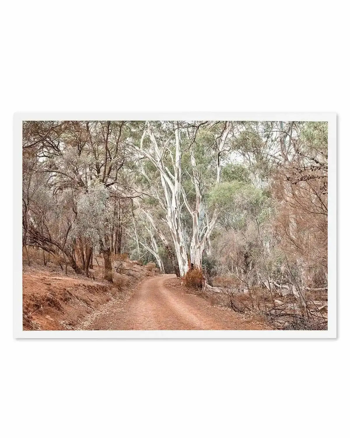 Bush Tracks Art Print from Olive et Oriel where you can shop wallpaper and artworks online