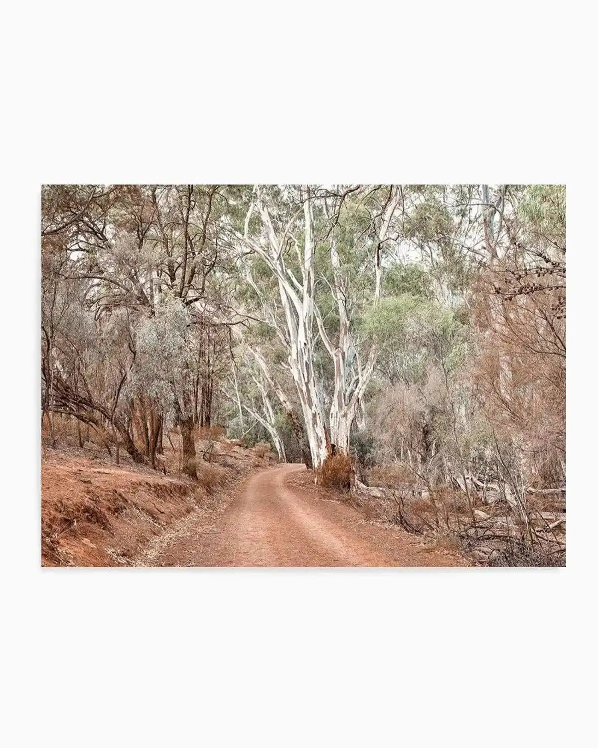 Bush Tracks Art Print from Olive et Oriel where you can shop wallpaper and artworks online