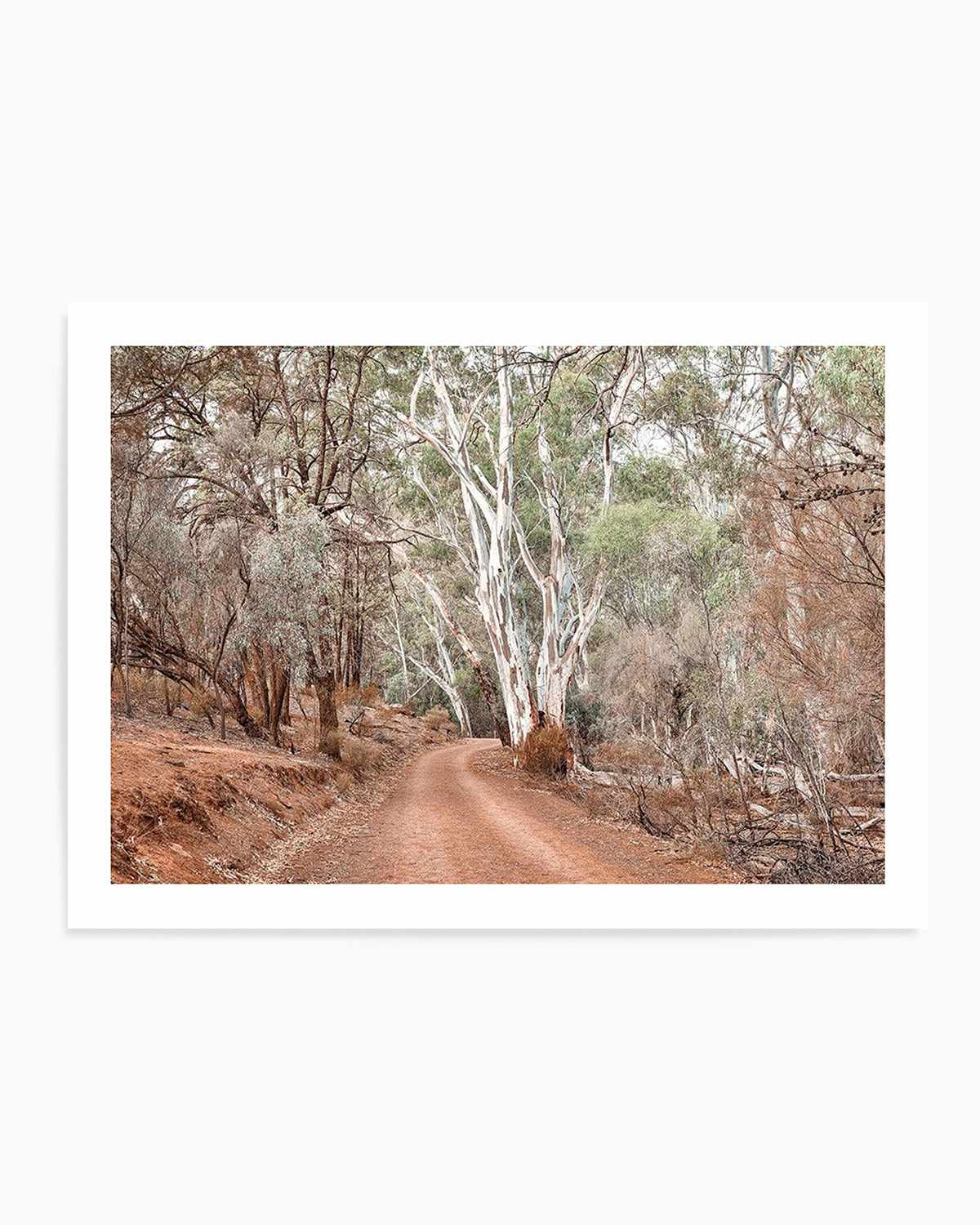 Bush Tracks Art Print