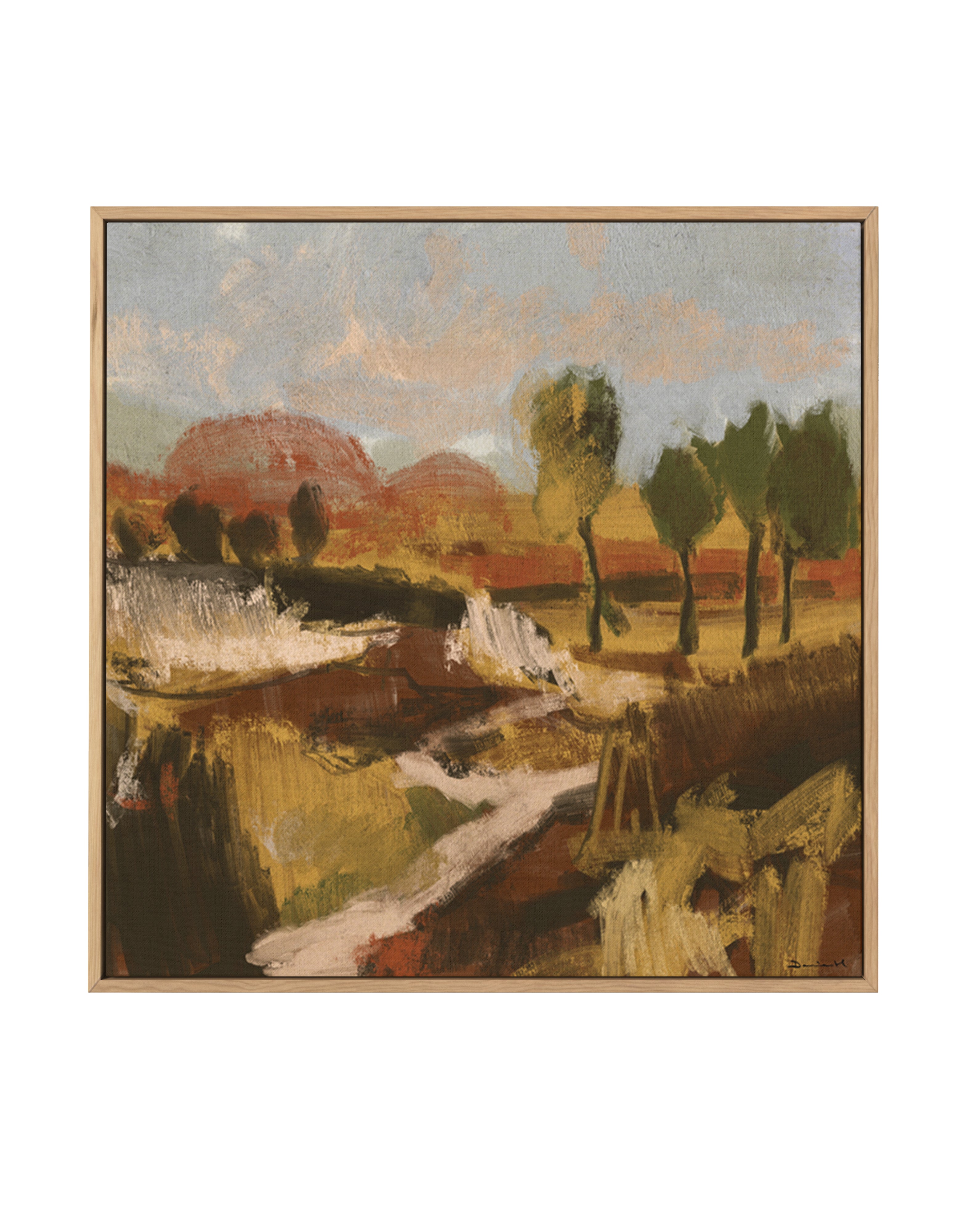 Bush by Dan Hobday | Framed Canvas Art Print