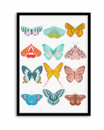 Butterfly By Petra Lizde | Art Print