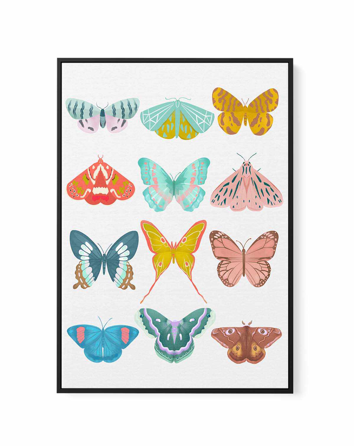 Butterfly By Petra Lizde | Framed Canvas Art Print