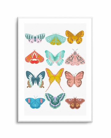 Butterfly By Petra Lizde | Art Print from Olive et Oriel where you can shop wallpaper and artworks online