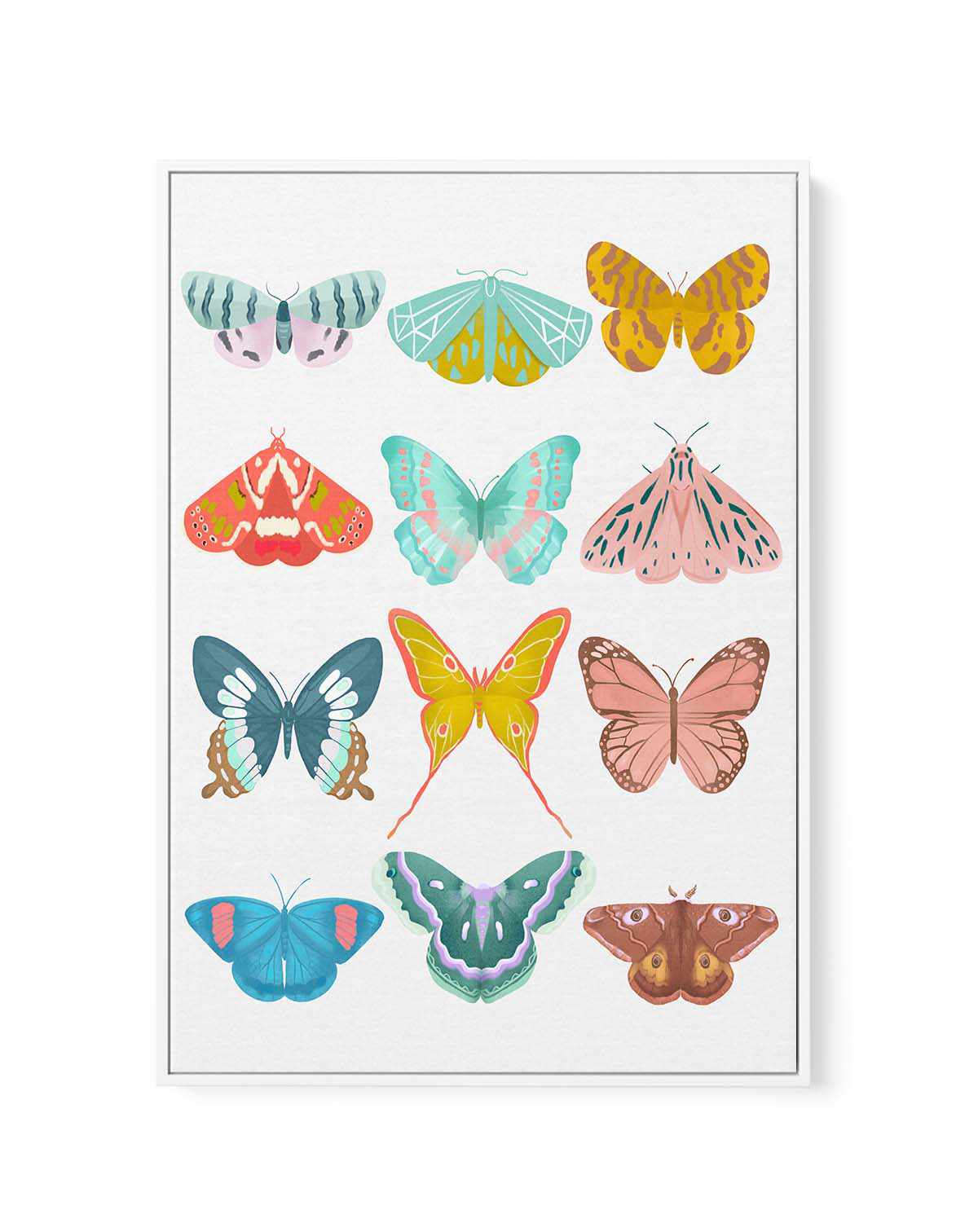 Butterfly By Petra Lizde | Framed Canvas Art Print