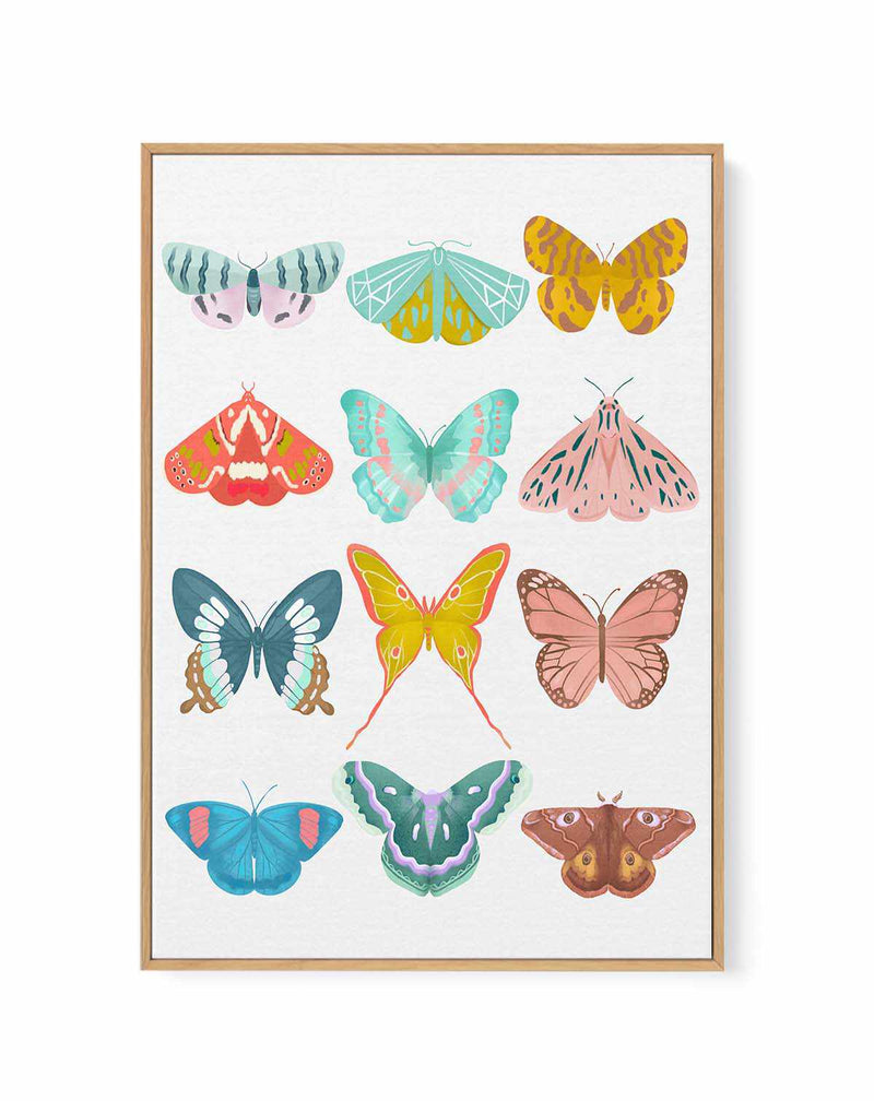 Butterfly By Petra Lizde | Framed Canvas Art Print