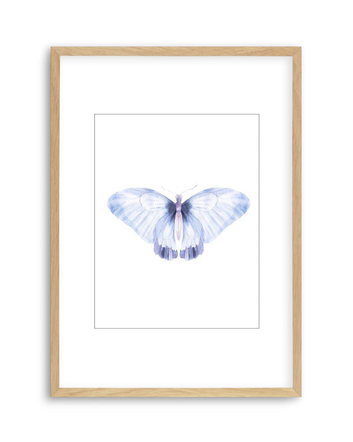 Butterfly III Art Print