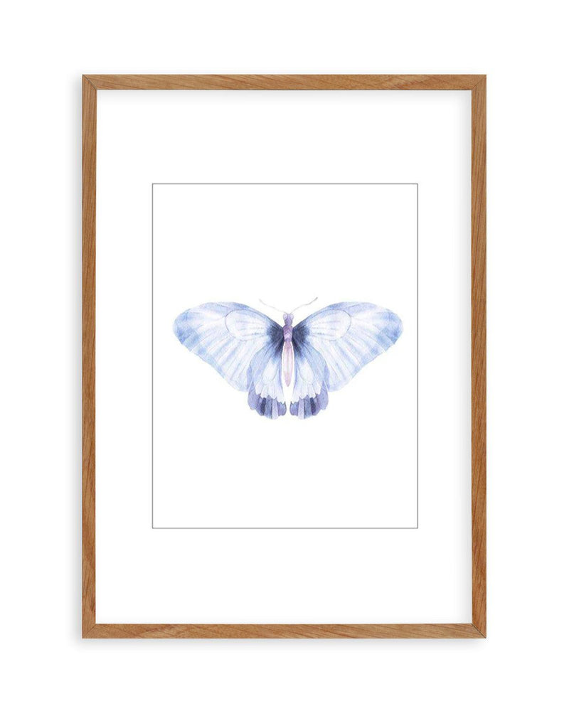 Butterfly III Art Print