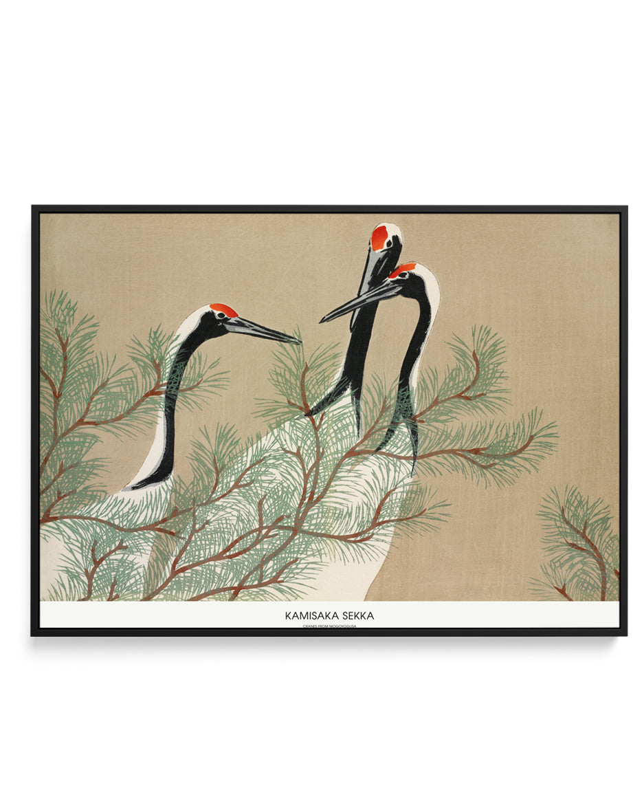 Cranes From Momoyogusa | Framed Canvas Art Print
