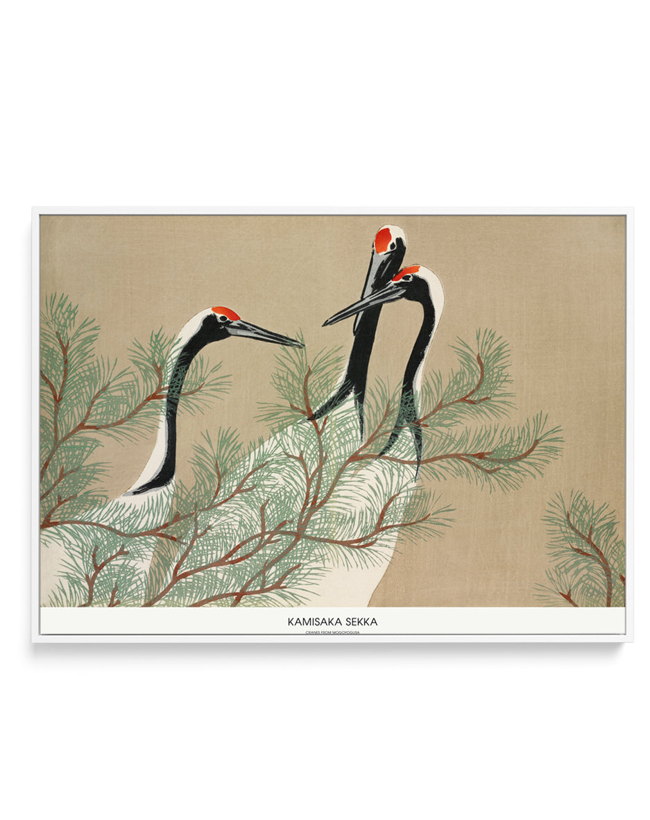 Cranes From Momoyogusa | Framed Canvas Art Print