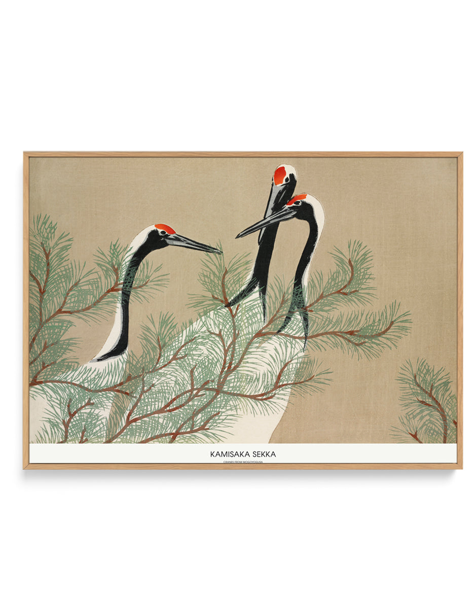 Cranes From Momoyogusa | Framed Canvas Art Print
