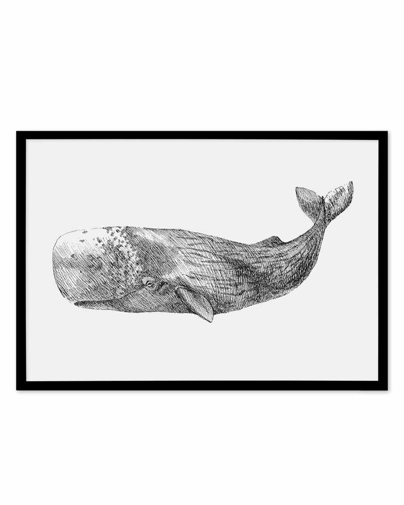 Cachalot Whale | LS Art Print