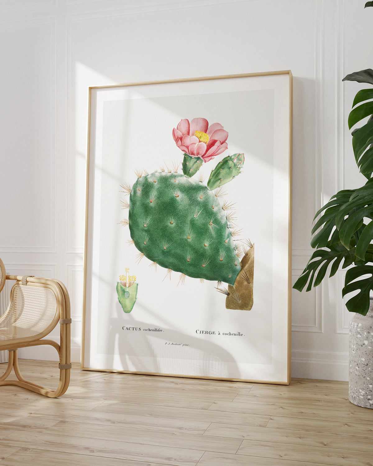 Cactus Flower Vintage Poster Art Print