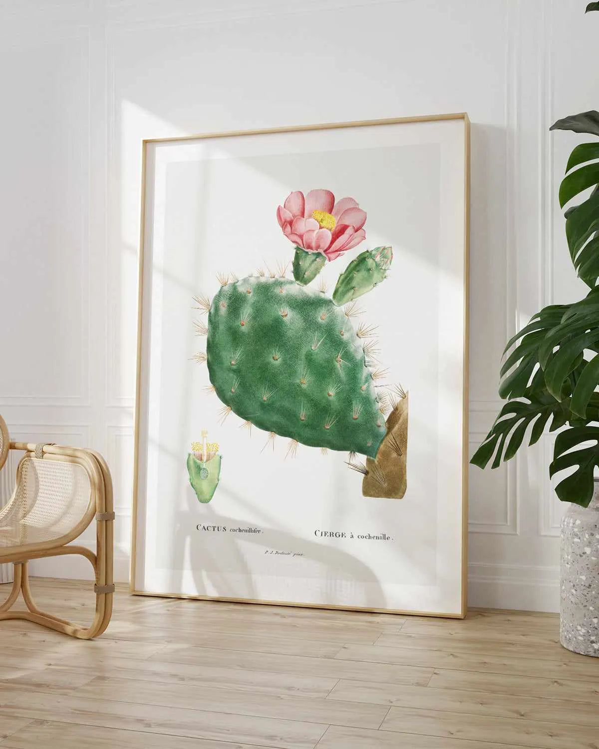 Cactus Flower Vintage Poster Art Print from Olive et Oriel where you can shop wallpaper and artworks online