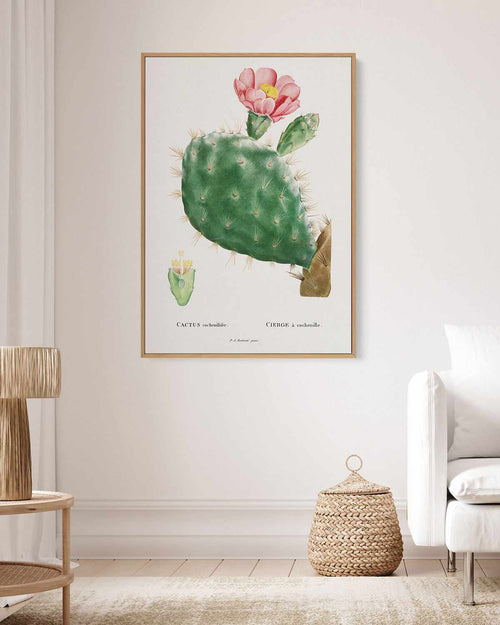 Cactus Flower Vintage Poster | Framed Canvas Art Print