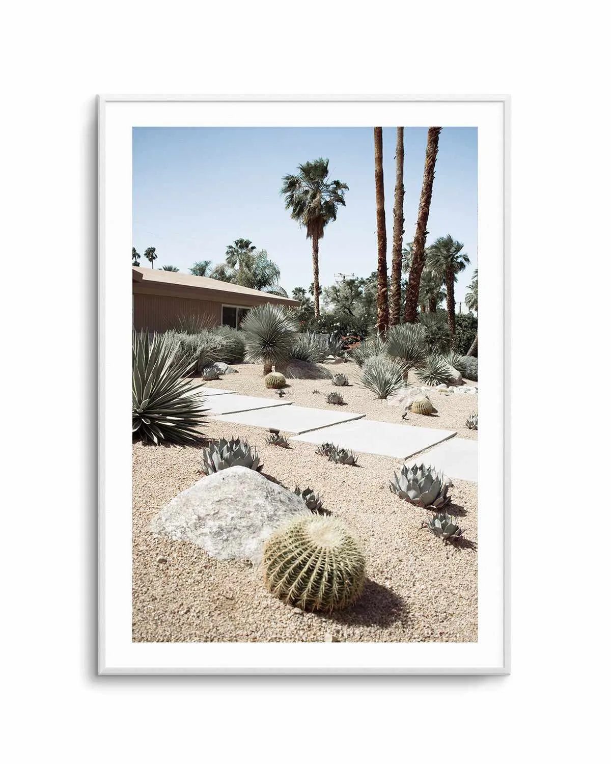 Cactus Garden Palm Springs Art Print from Olive et Oriel where you can shop wallpaper and artworks online