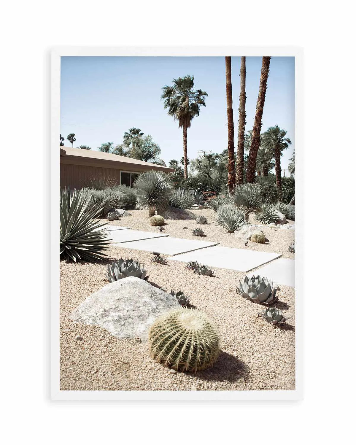 Cactus Garden Palm Springs Art Print from Olive et Oriel where you can shop wallpaper and artworks online