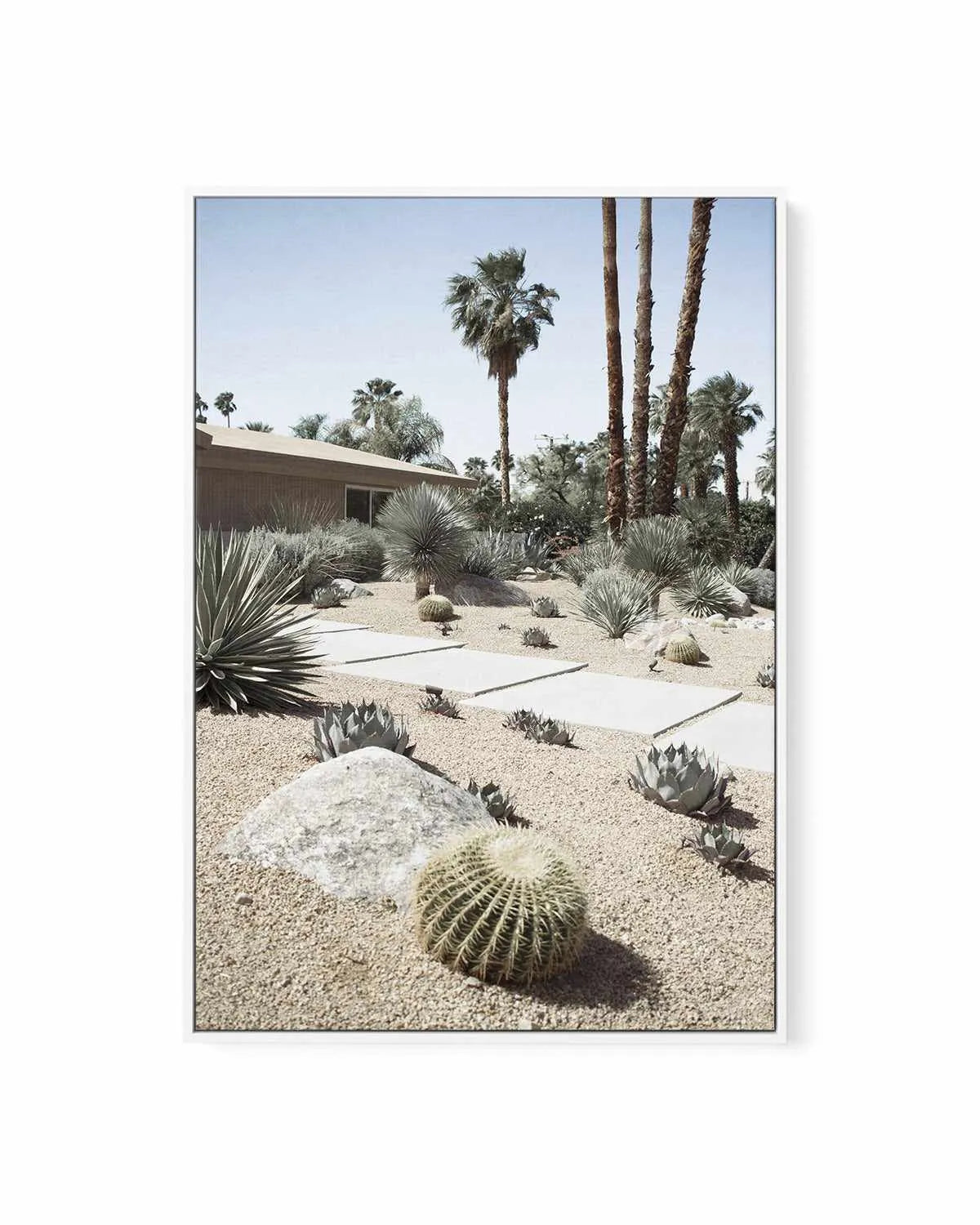 Cactus Garden Palm Springs | Framed Canvas Art Print from Olive et Oriel where you can shop wallpaper and artworks online