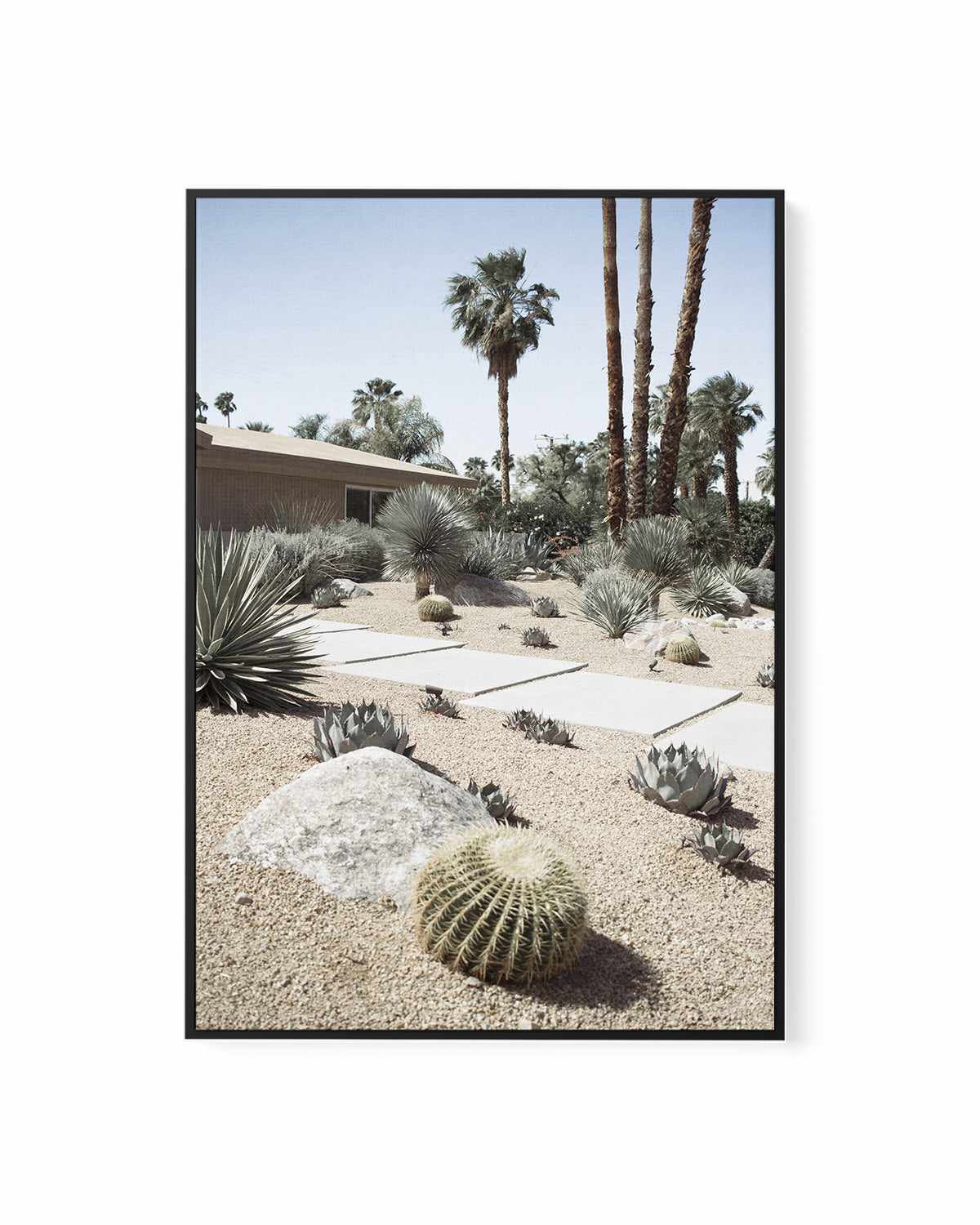 Cactus Garden Palm Springs | Framed Canvas Art Print