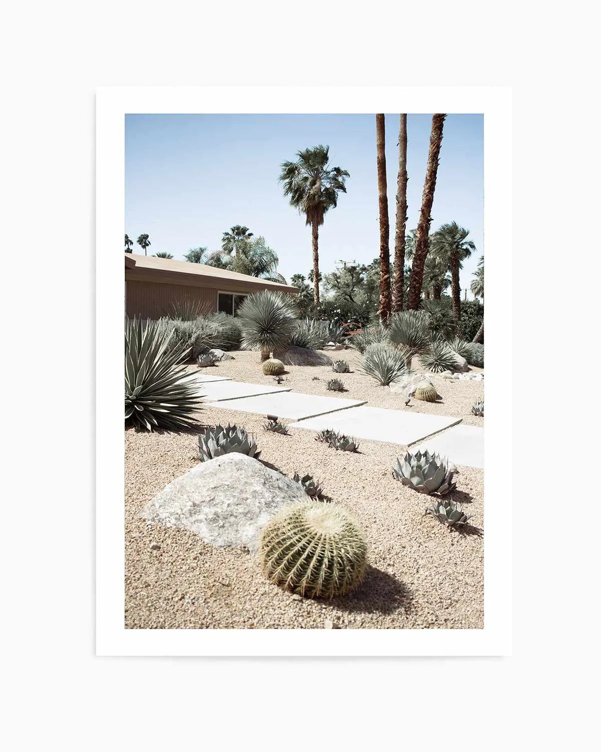 Cactus Garden Palm Springs Art Print from Olive et Oriel where you can shop wallpaper and artworks online