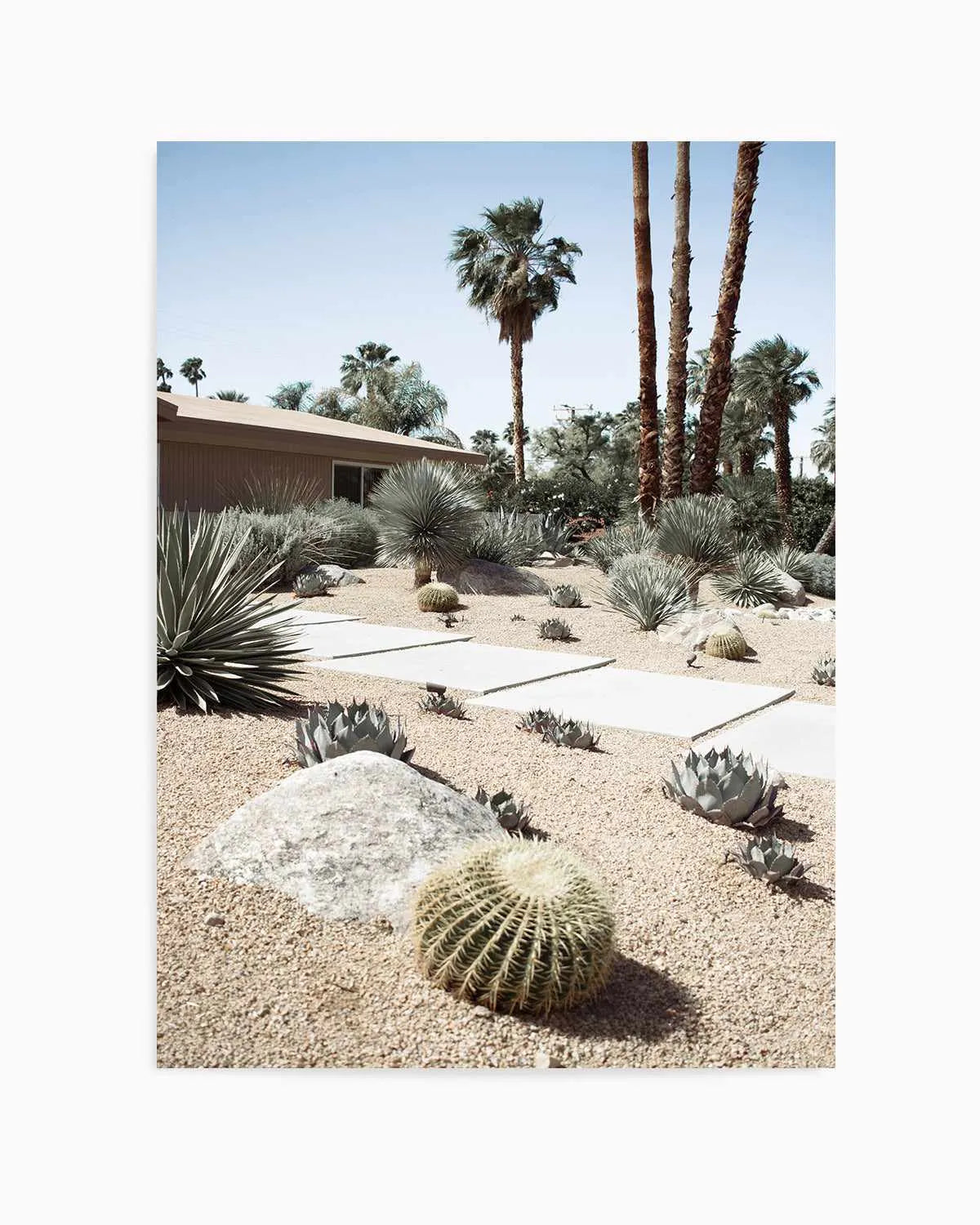 Cactus Garden Palm Springs Art Print from Olive et Oriel where you can shop wallpaper and artworks online